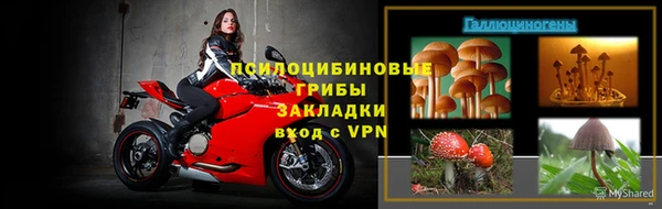 a pvp Абинск