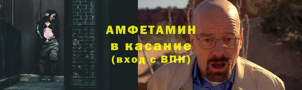 стаф Алзамай