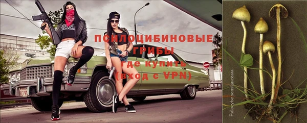 прущий лед Абаза