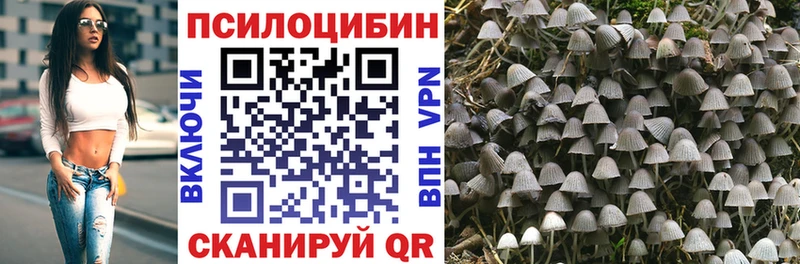 Галлюциногенные грибы Cubensis  mega tor  Сыктывкар 