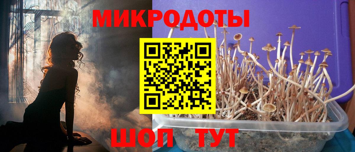 Сыктывкар  Галлюциногенные грибы мицелий  Галлюциногенные грибы GOLDEN TEACHER  Вход с VPN 